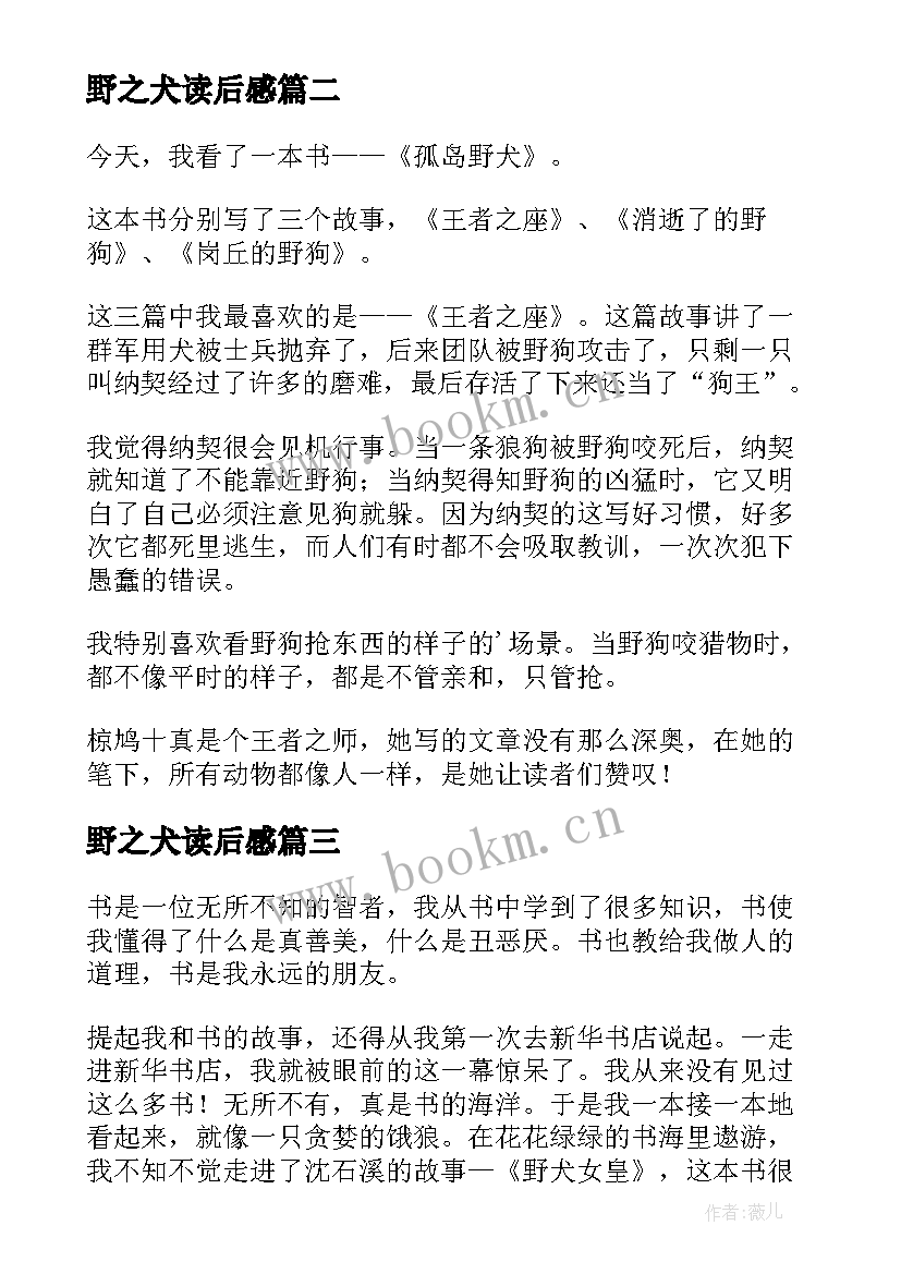 2023年野之犬读后感(实用9篇)