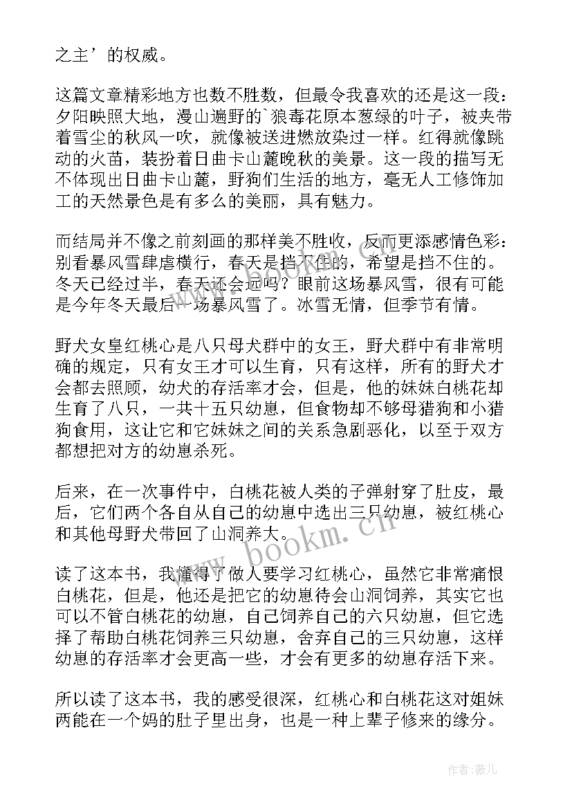 2023年野之犬读后感(实用9篇)