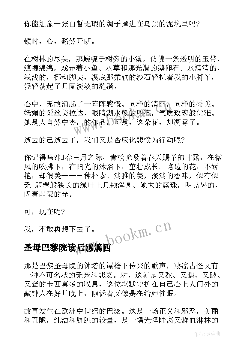 2023年圣母巴黎院读后感 巴黎圣母院读后感(大全7篇)