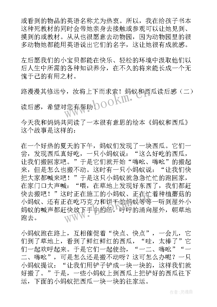 最新蚂蚁和西瓜的读后感 蚂蚁和西瓜读后感心得感悟(优质5篇)