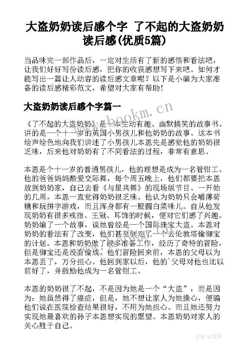 大盗奶奶读后感个字 了不起的大盗奶奶读后感(优质5篇)