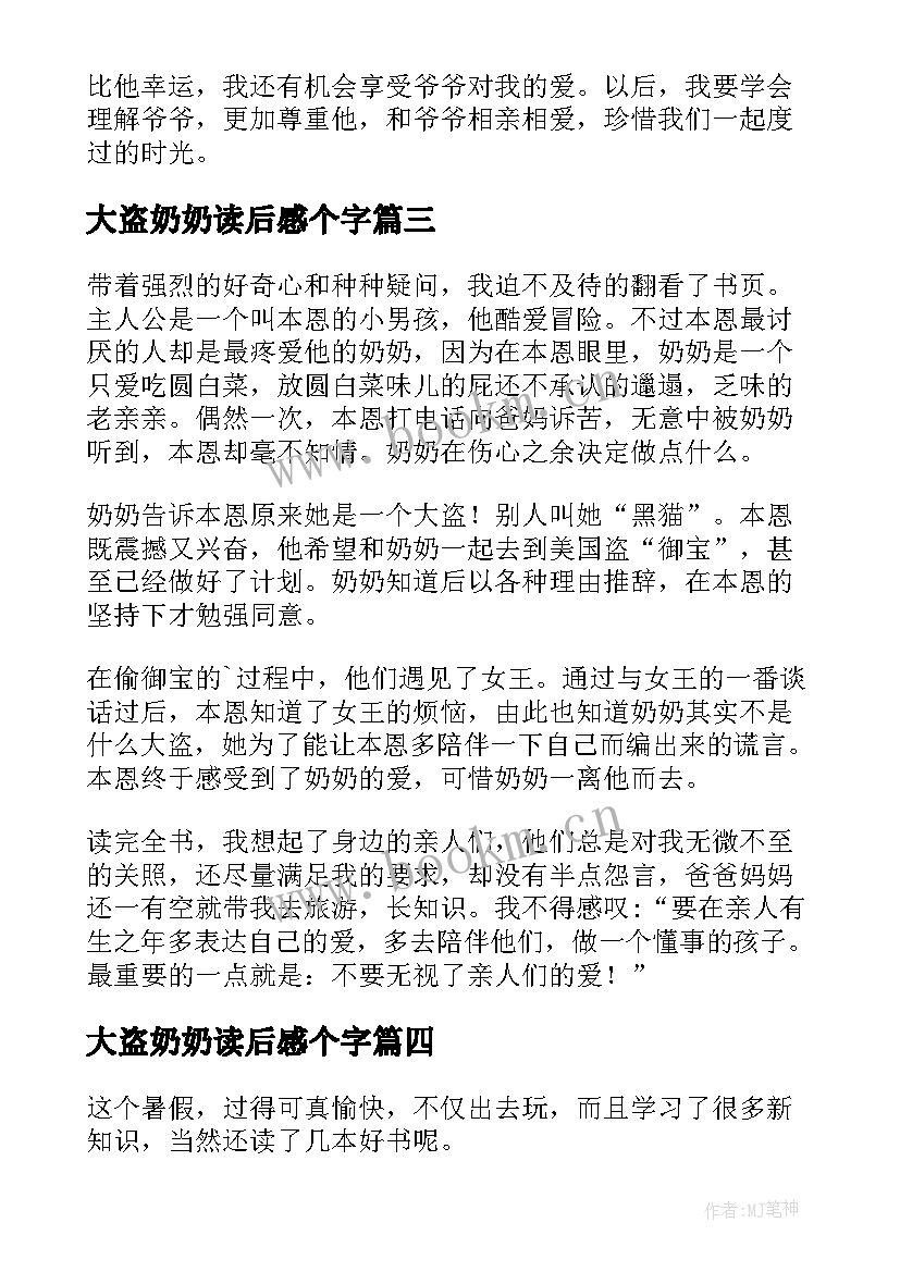 大盗奶奶读后感个字 了不起的大盗奶奶读后感(优质5篇)