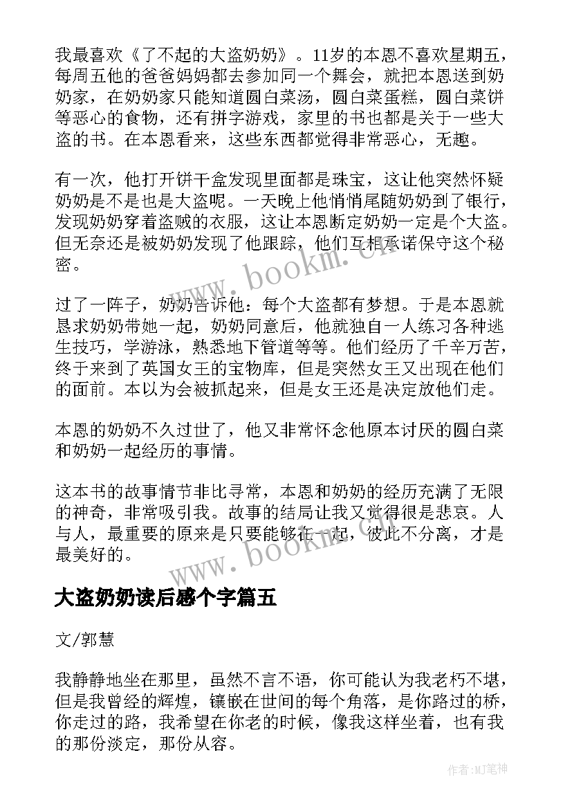 大盗奶奶读后感个字 了不起的大盗奶奶读后感(优质5篇)