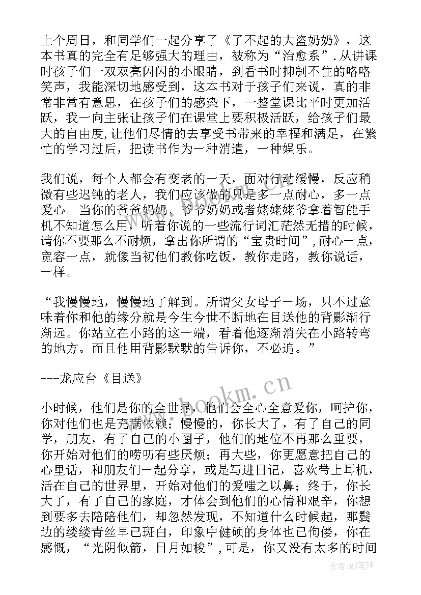 大盗奶奶读后感个字 了不起的大盗奶奶读后感(优质5篇)