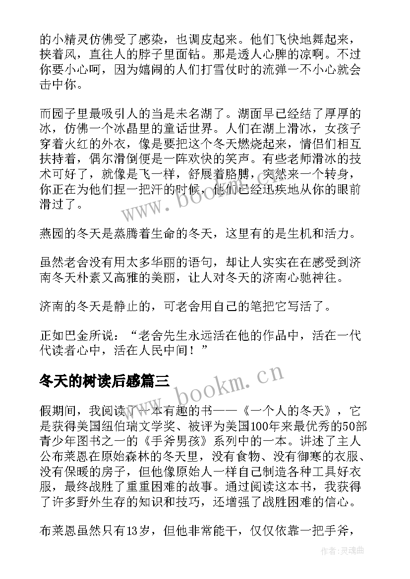 2023年冬天的树读后感(优秀9篇)