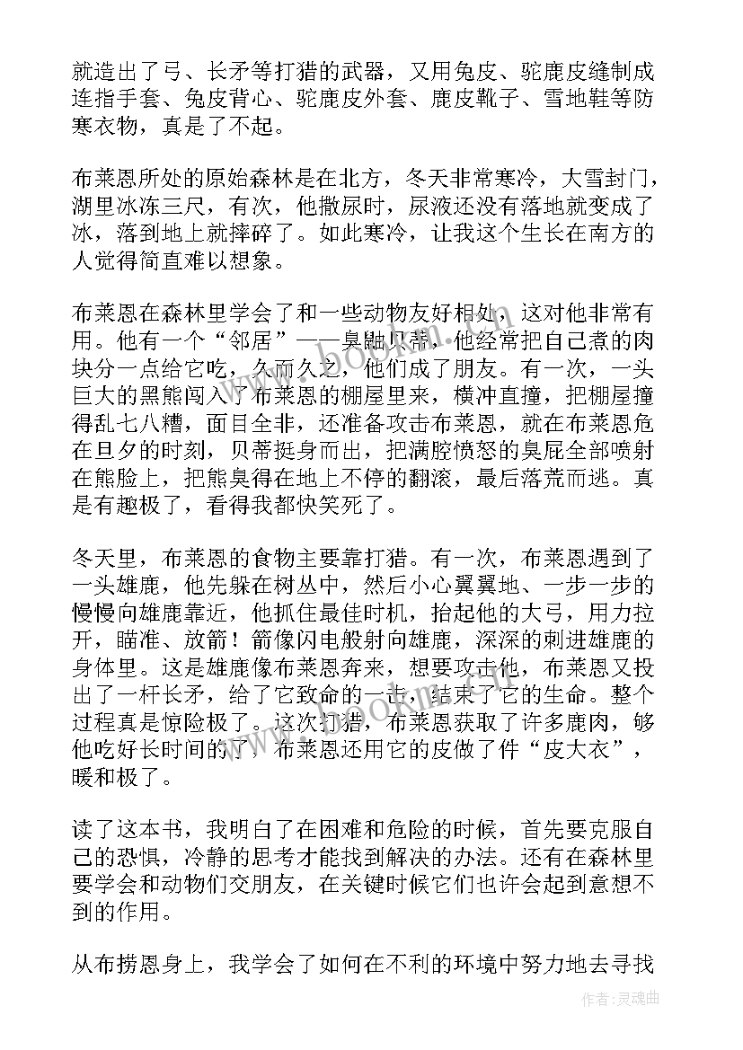 2023年冬天的树读后感(优秀9篇)