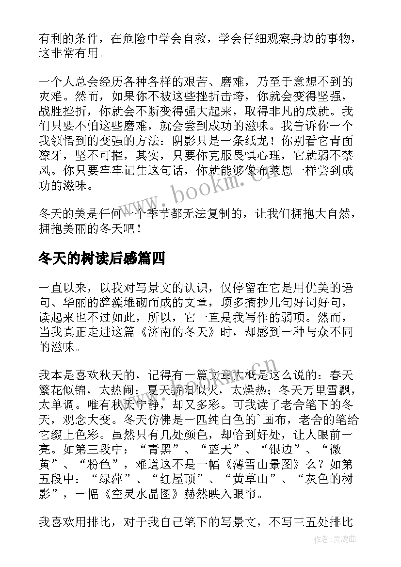 2023年冬天的树读后感(优秀9篇)