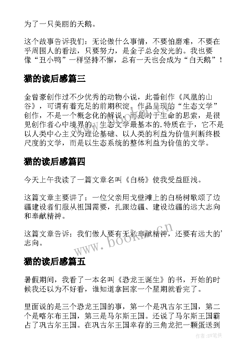 最新猫的读后感 二年级读后感(精选7篇)