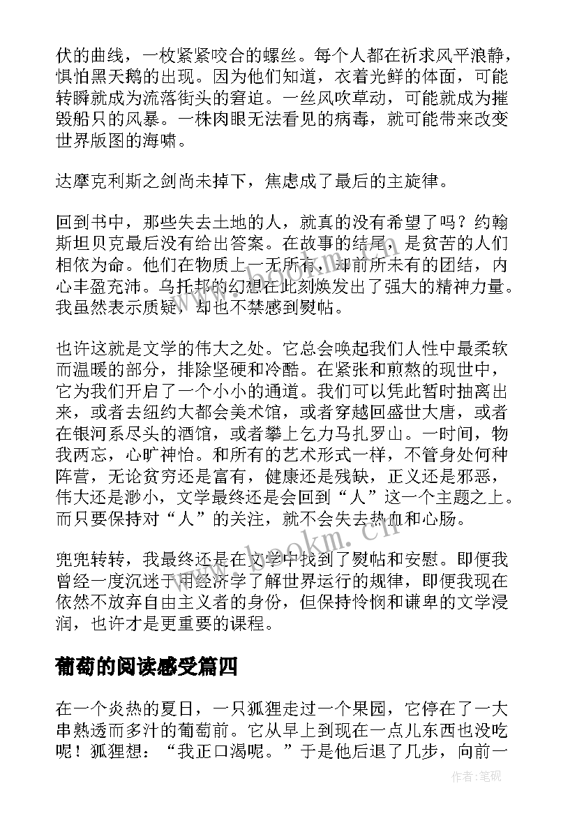 2023年葡萄的阅读感受 狐狸和葡萄读后感(优质6篇)