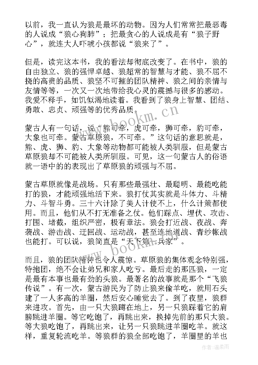 2023年狼图腾小狼读后感(精选7篇)