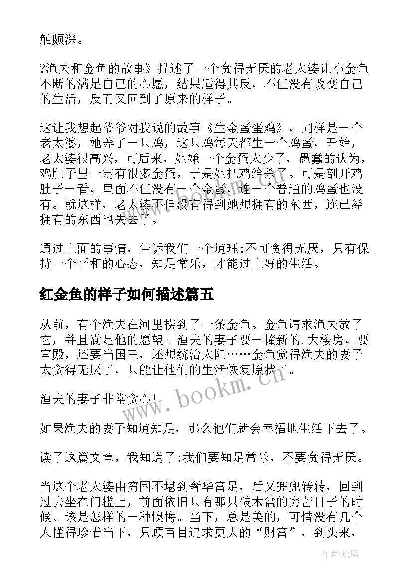 最新红金鱼的样子如何描述 渔夫和金鱼的故事读后感(实用5篇)