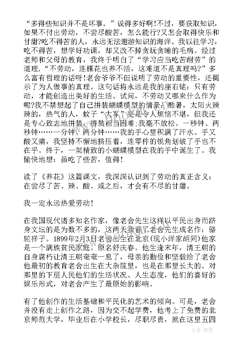 2023年老舍散文读后感 老舍散文猫读后感(实用5篇)