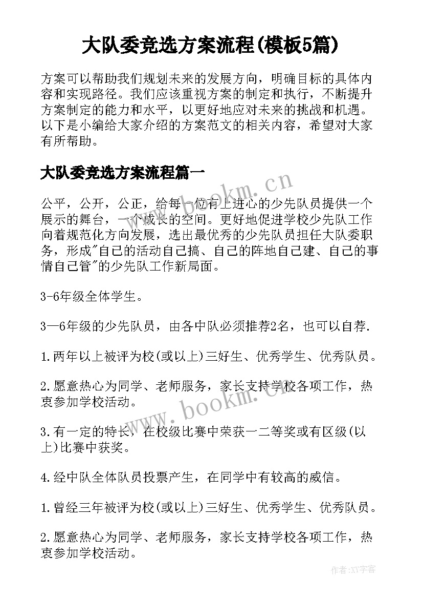 大队委竞选方案流程(模板5篇)