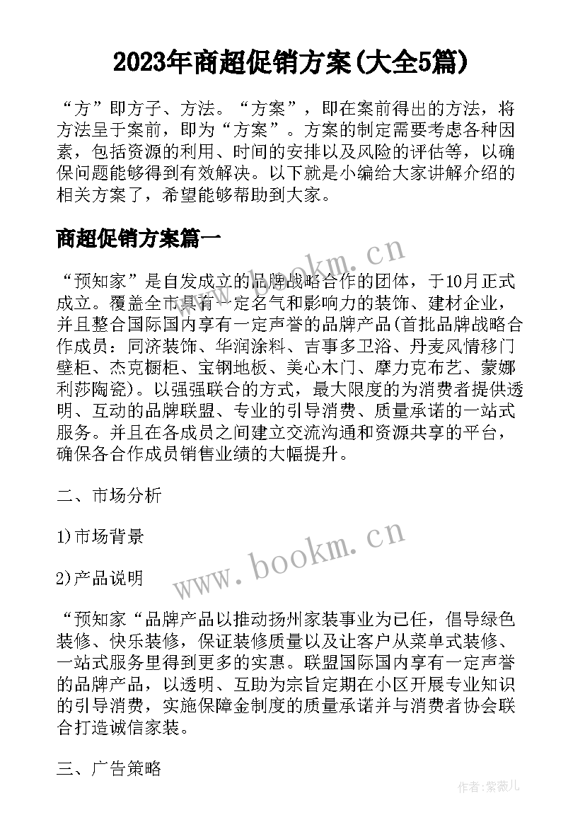 2023年商超促销方案(大全5篇)