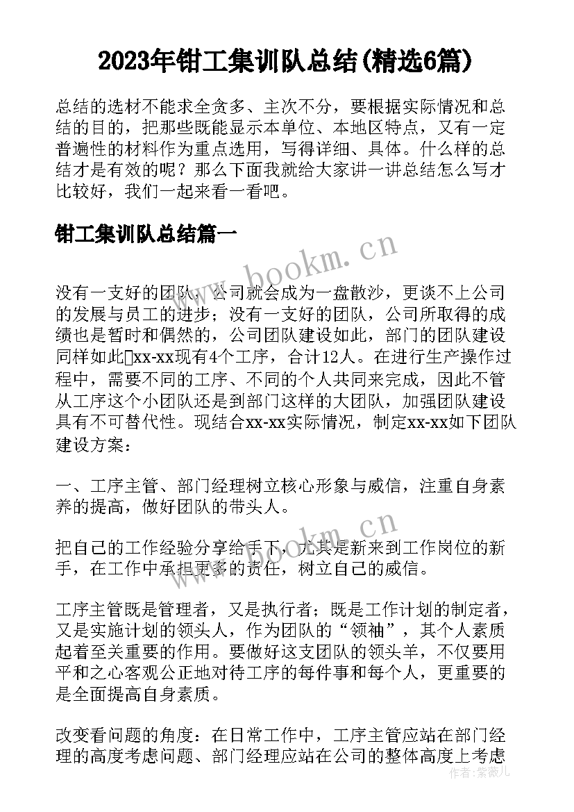 2023年钳工集训队总结(精选6篇)