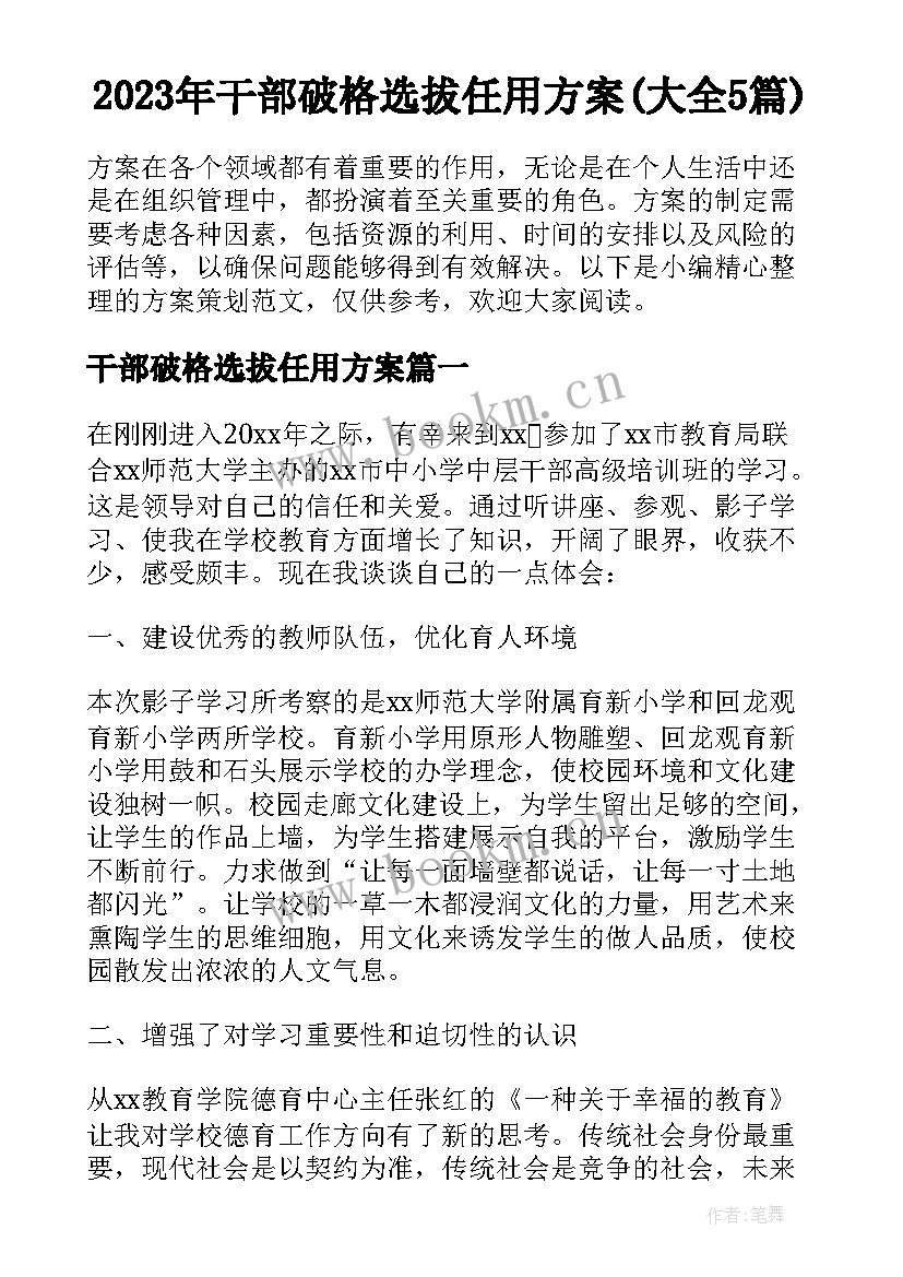 2023年干部破格选拔任用方案(大全5篇)