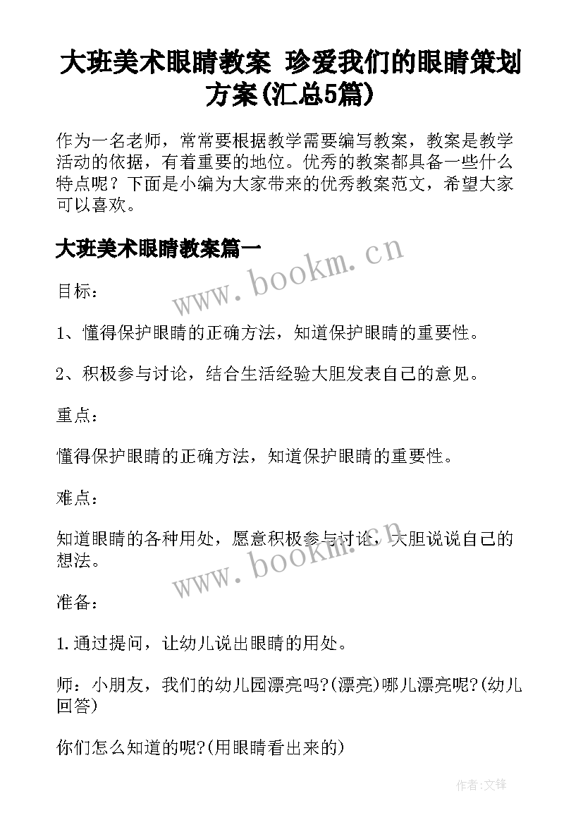 大班美术眼睛教案 珍爱我们的眼睛策划方案(汇总5篇)