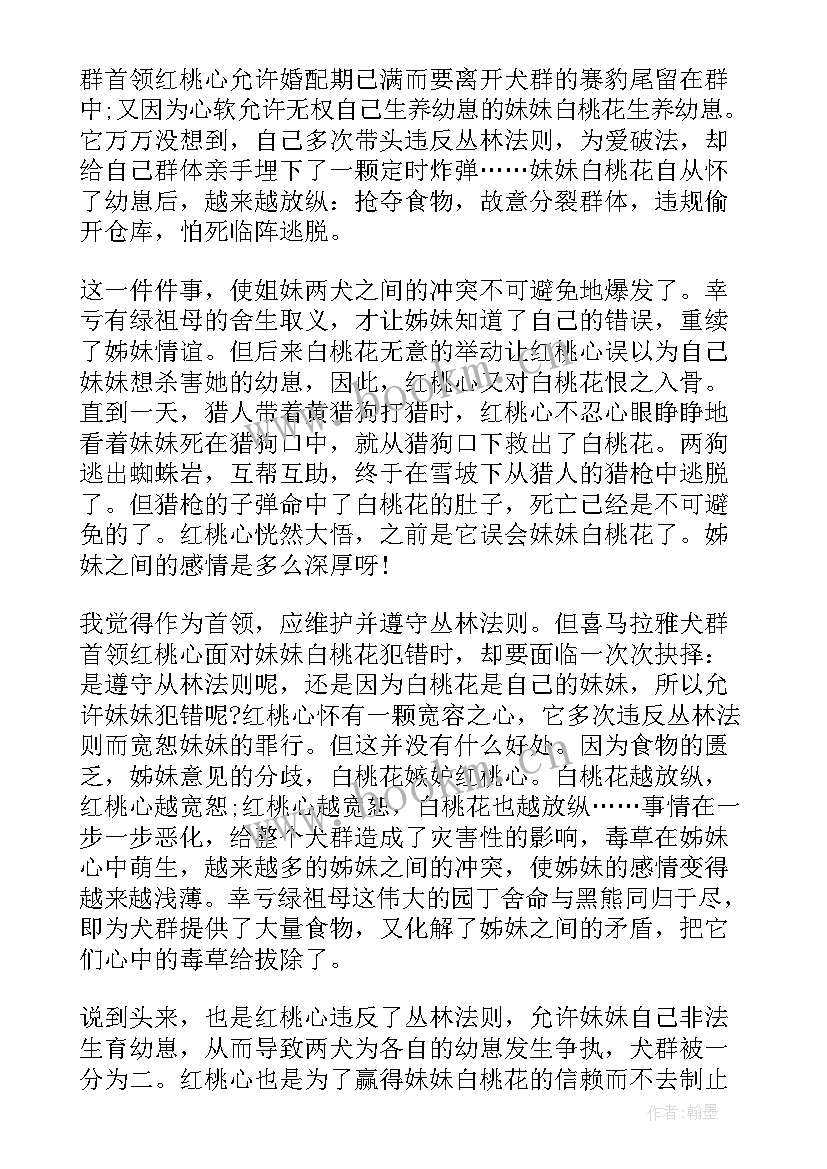 2023年四姊妹读后感(通用5篇)