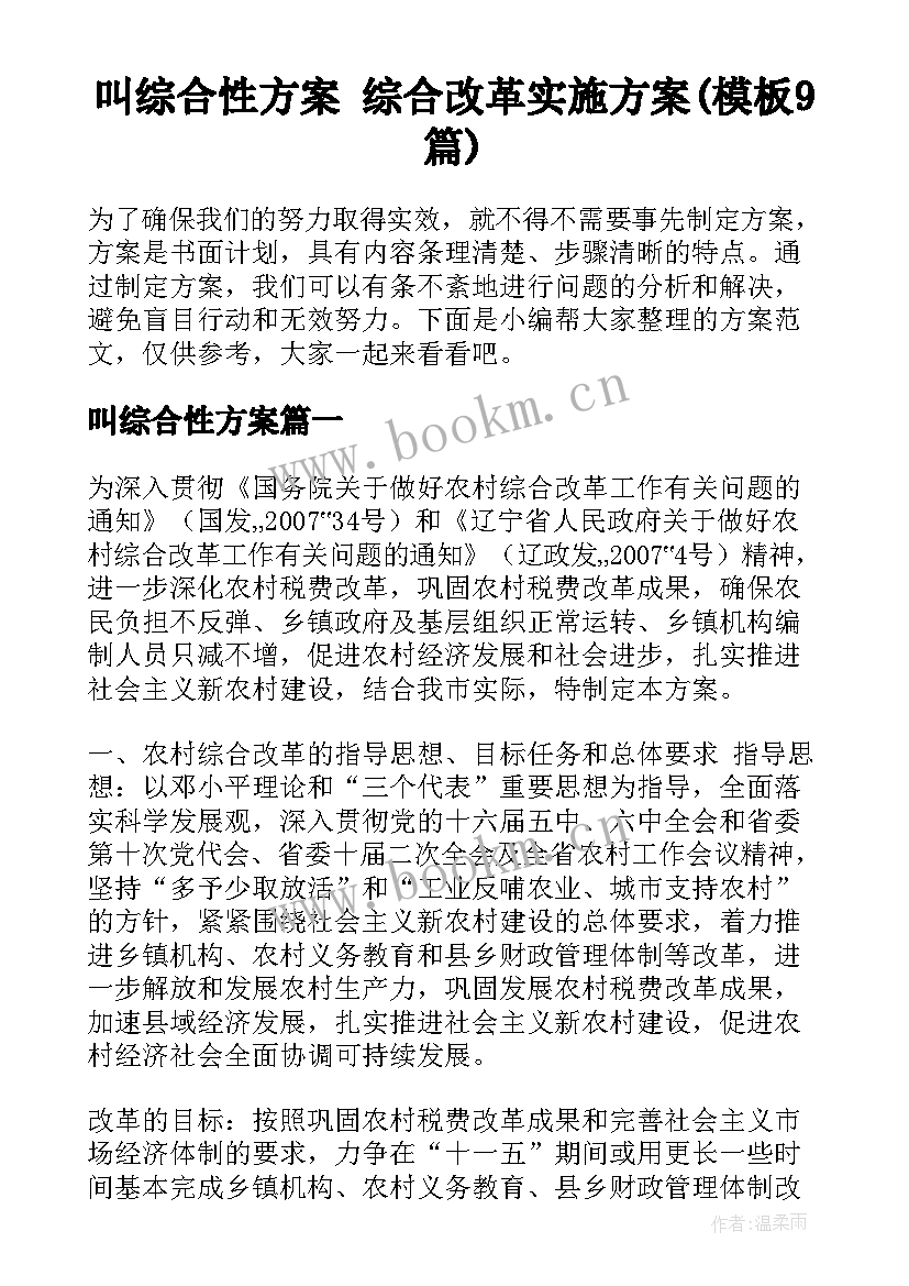 叫综合性方案 综合改革实施方案(模板9篇)