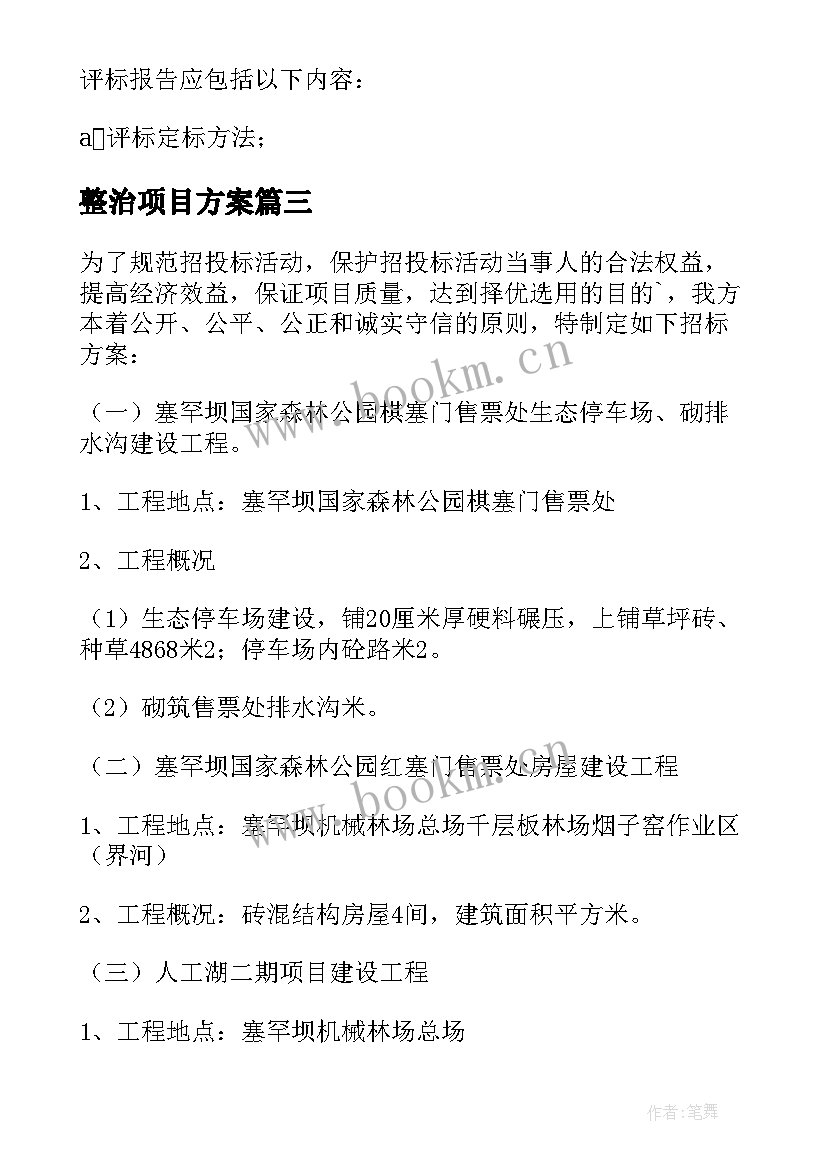 整治项目方案 项目招投标整治方案(模板5篇)