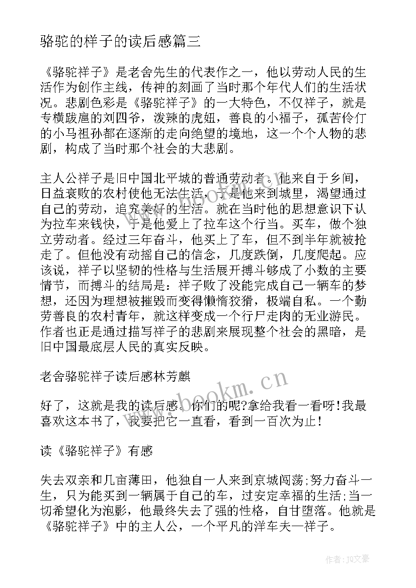 骆驼的样子的读后感 骆驼样子初三读后感(大全5篇)