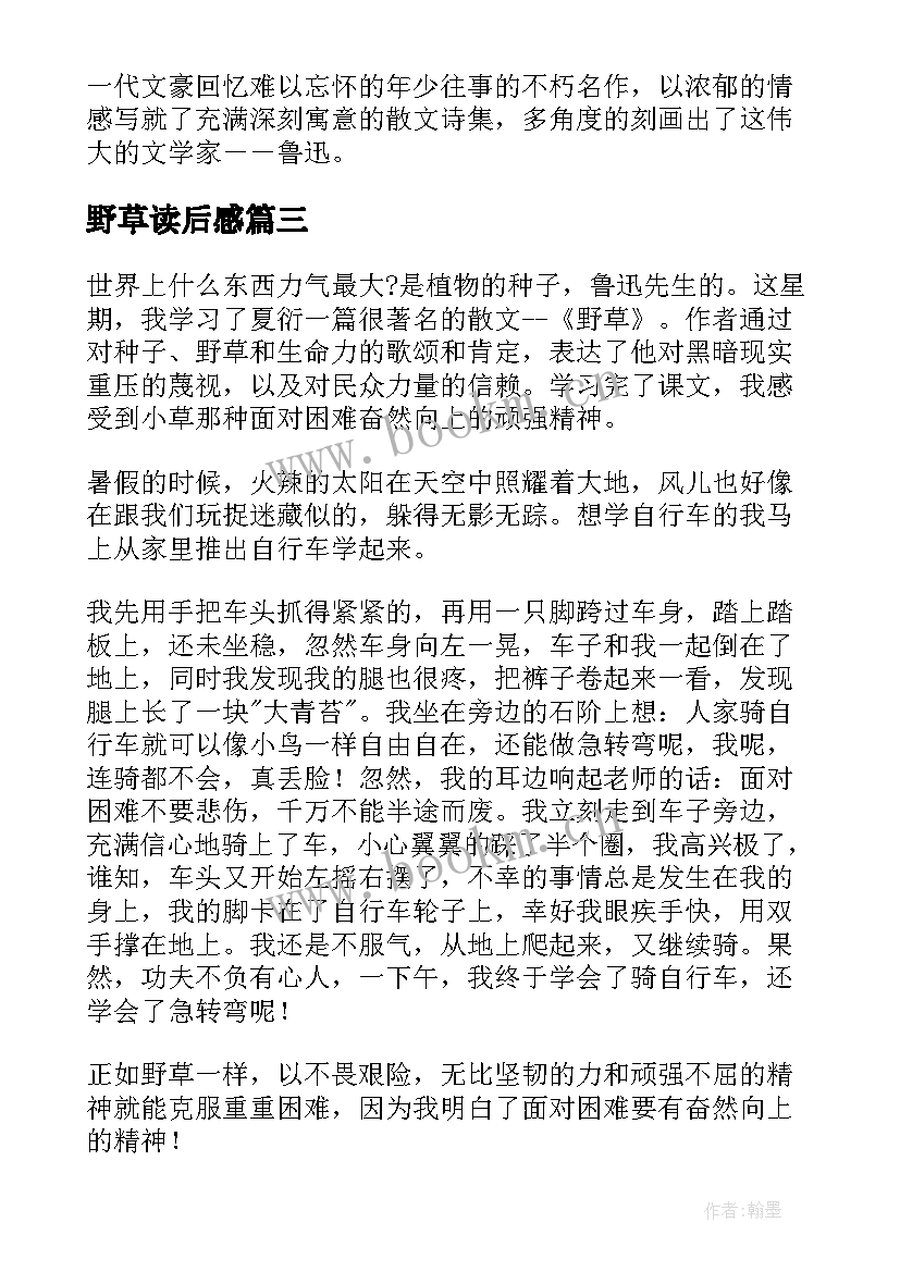 野草读后感(实用6篇)