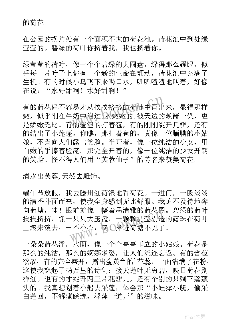 三年级课文荷花读后感 荷花的三年级(实用7篇)