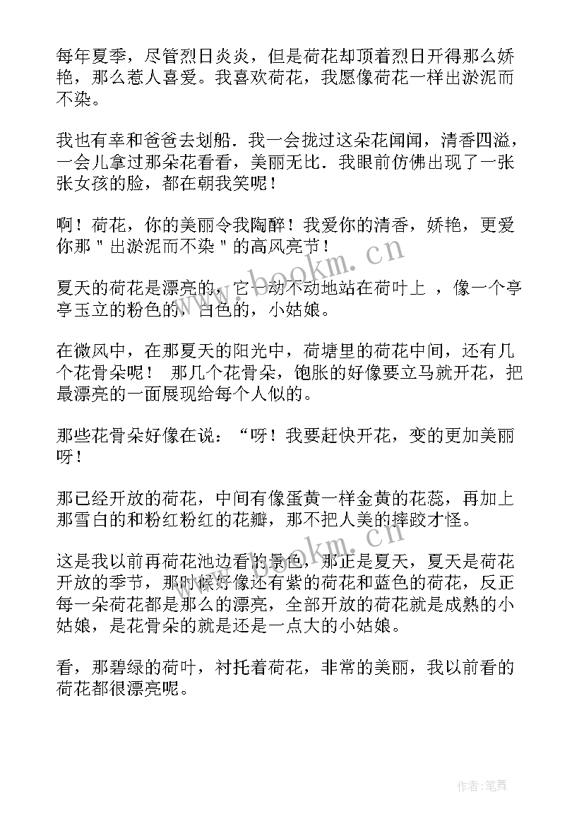 三年级课文荷花读后感 荷花的三年级(实用7篇)