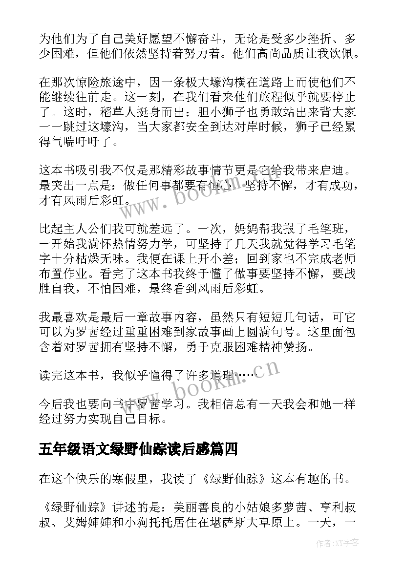 最新五年级语文绿野仙踪读后感(通用5篇)