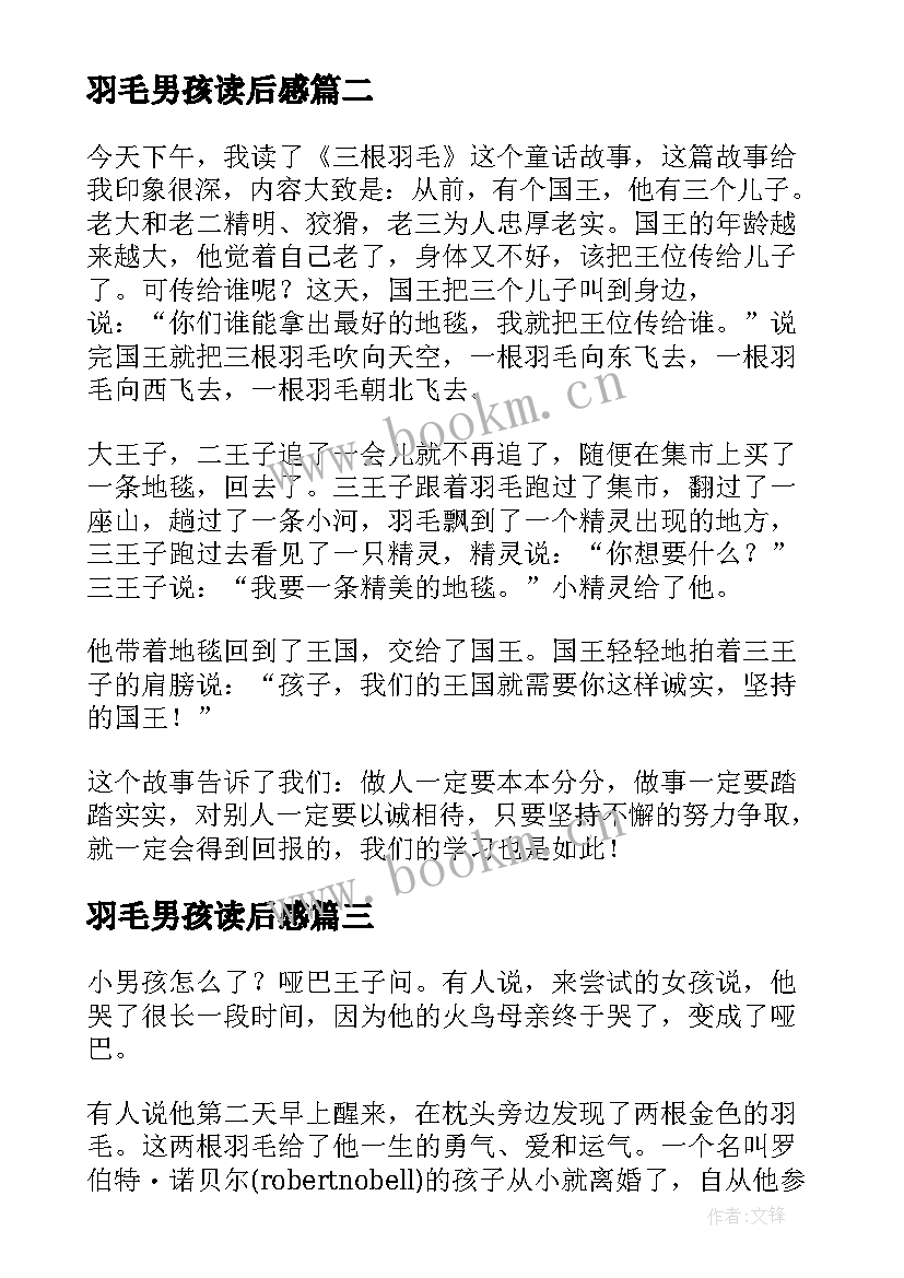 2023年羽毛男孩读后感(实用5篇)