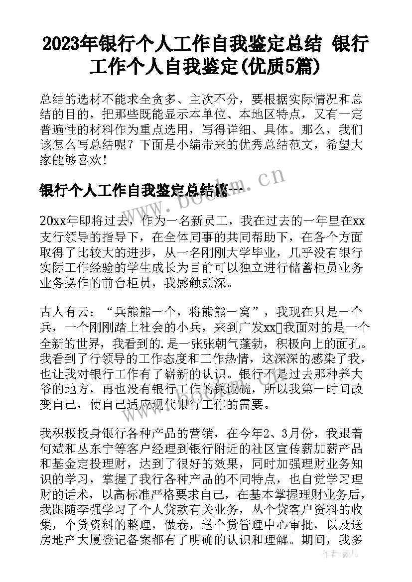 2023年银行个人工作自我鉴定总结 银行工作个人自我鉴定(优质5篇)