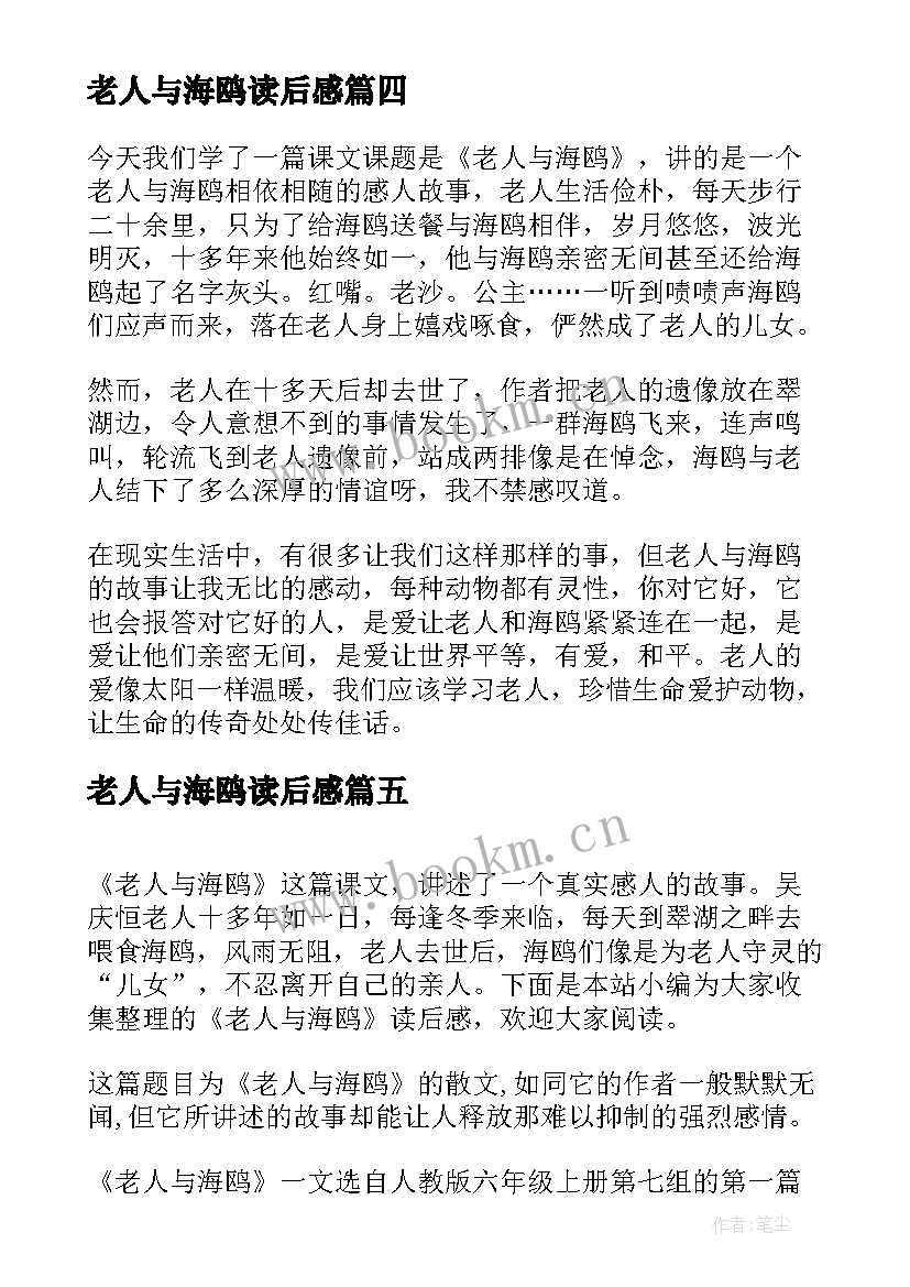 最新老人与海鸥读后感(实用10篇)