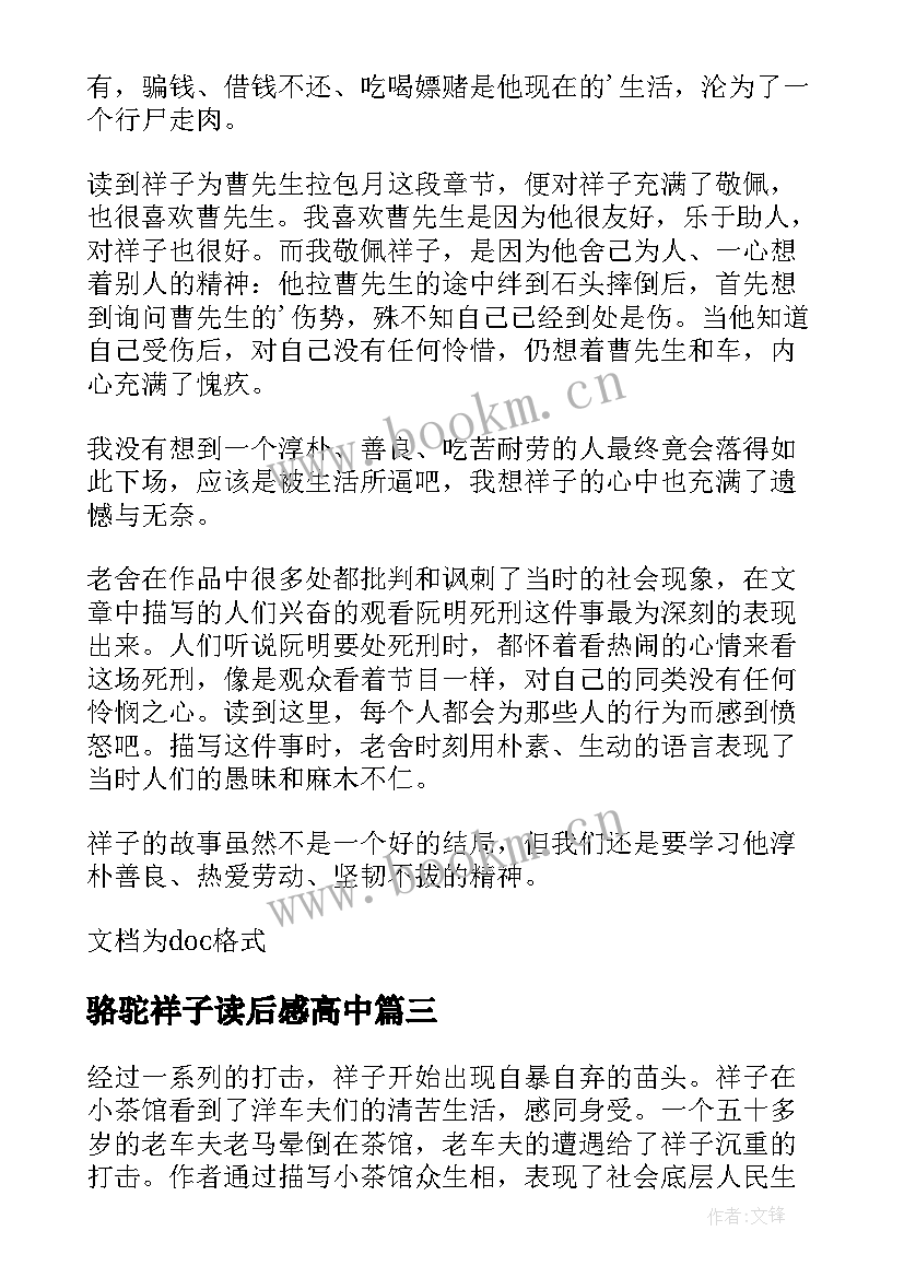 2023年骆驼祥子读后感高中(模板5篇)