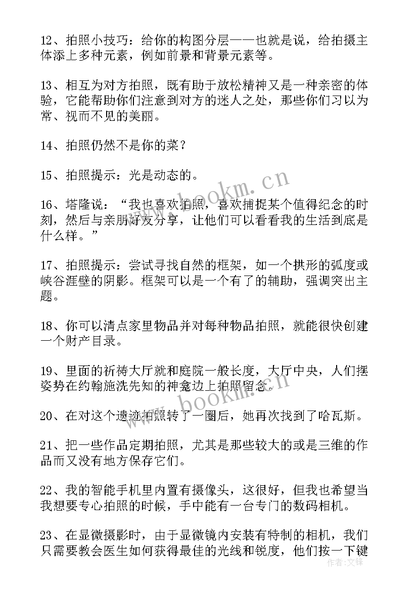 2023年拍照方案做 元旦拍照活动策划方案(精选5篇)