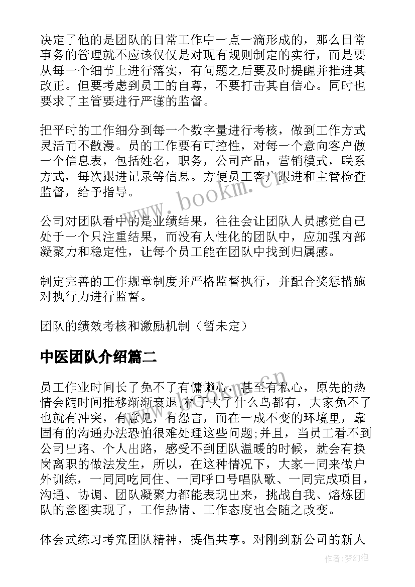 2023年中医团队介绍 团队建设方案(汇总9篇)