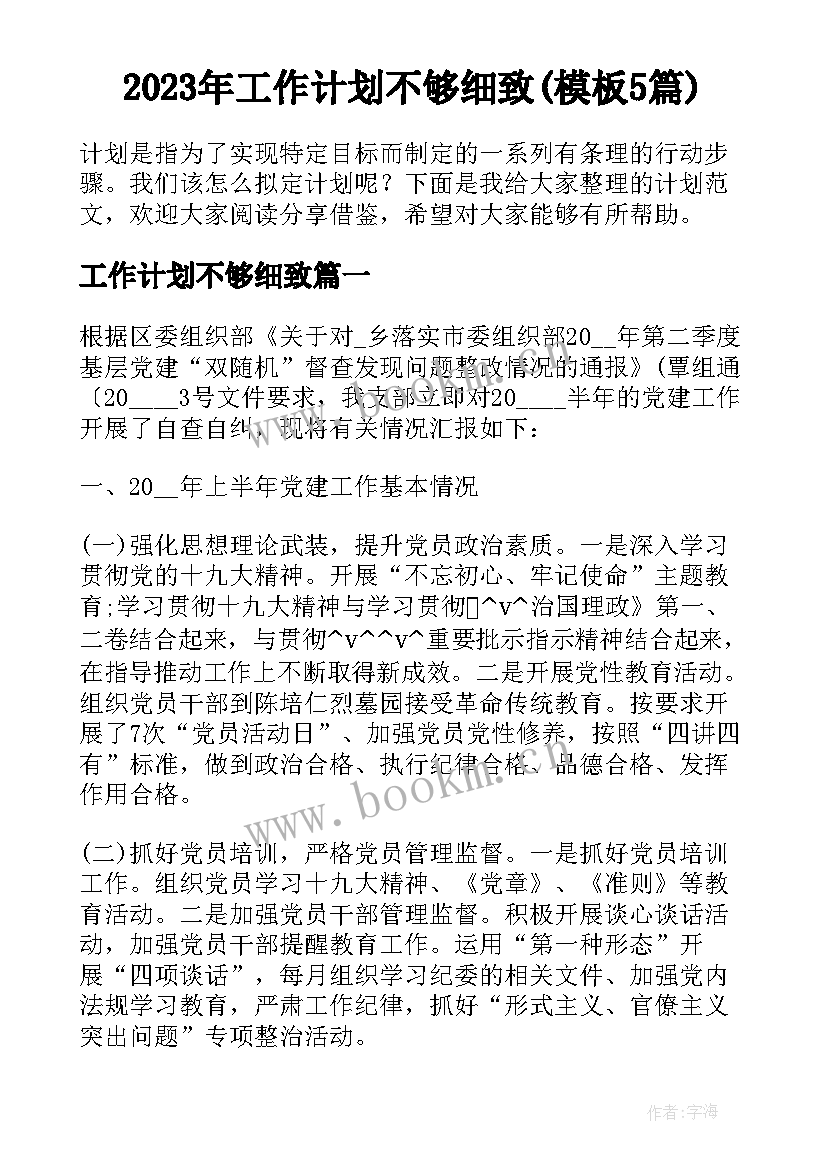 2023年工作计划不够细致(模板5篇)