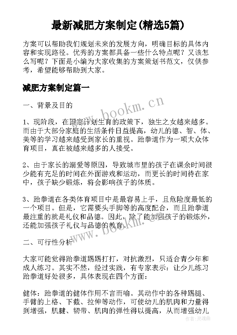 最新减肥方案制定(精选5篇)