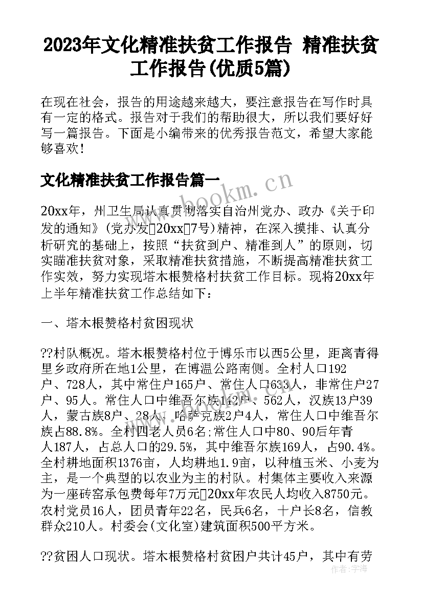 2023年文化精准扶贫工作报告 精准扶贫工作报告(优质5篇)