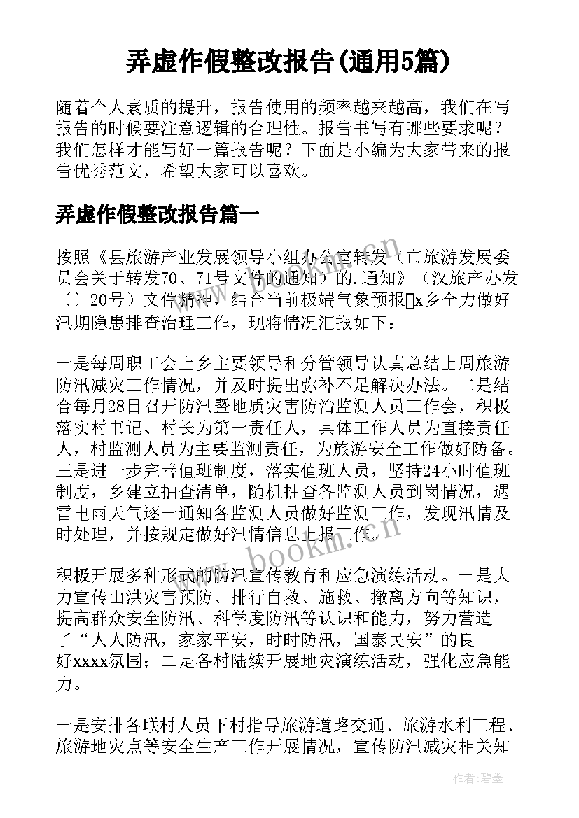 弄虚作假整改报告(通用5篇)