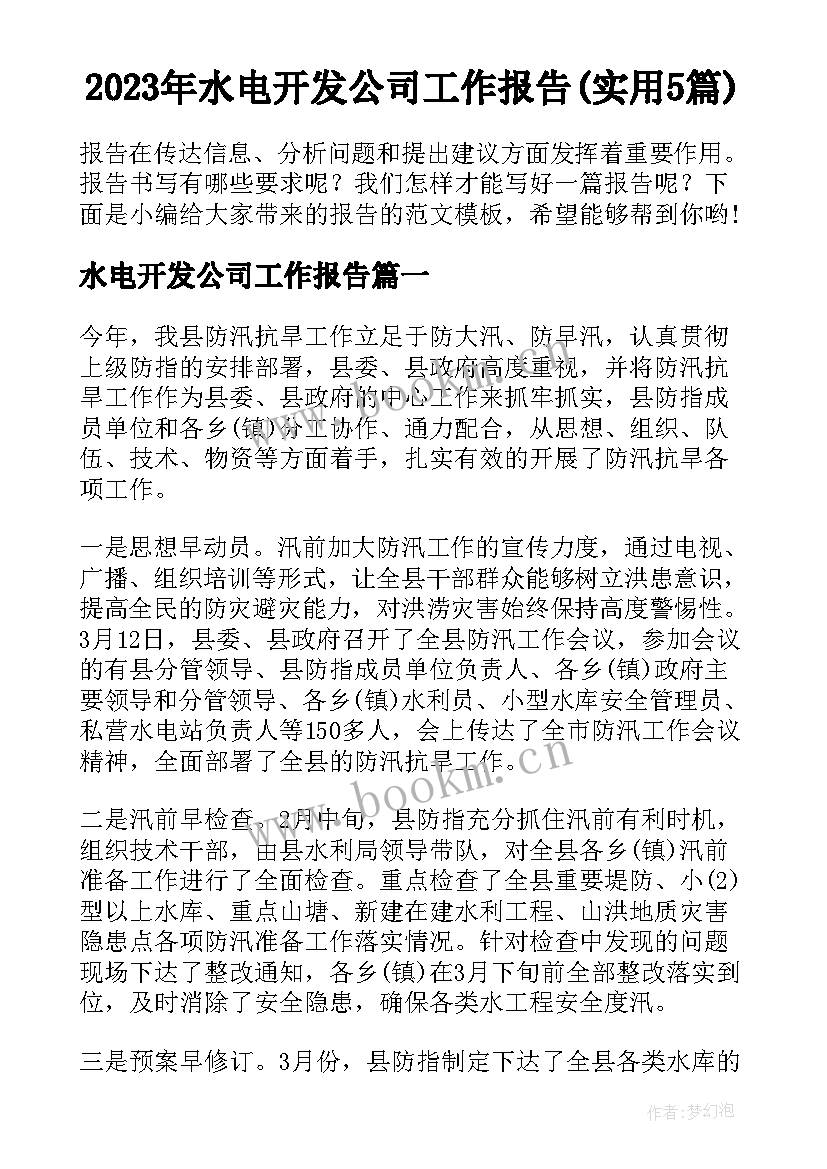 2023年水电开发公司工作报告(实用5篇)