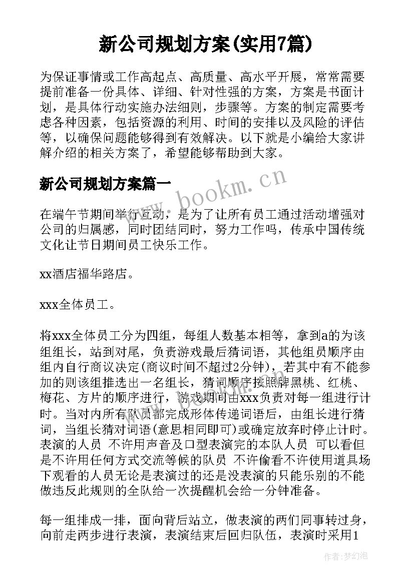 新公司规划方案(实用7篇)