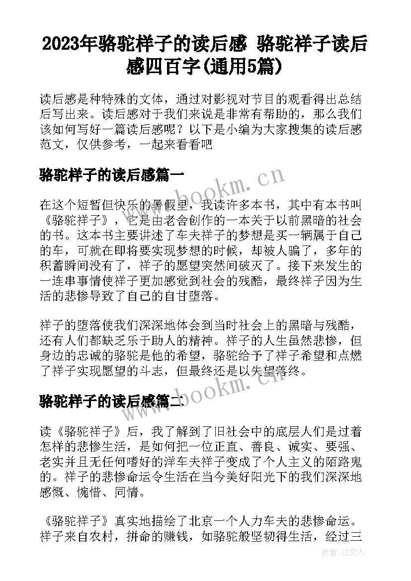 2023年骆驼样子的读后感 骆驼祥子读后感四百字(通用5篇)