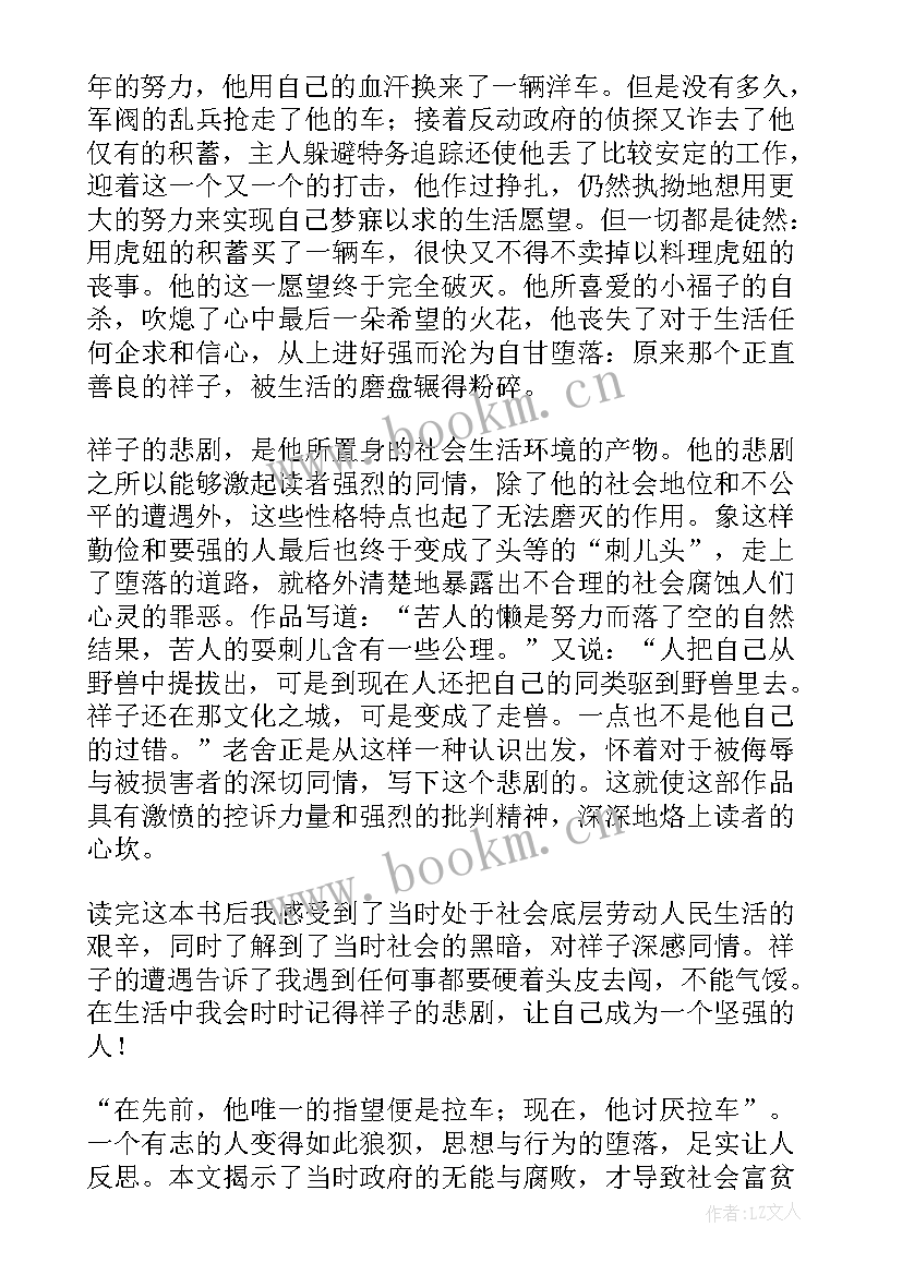 2023年骆驼样子的读后感 骆驼祥子读后感四百字(通用5篇)