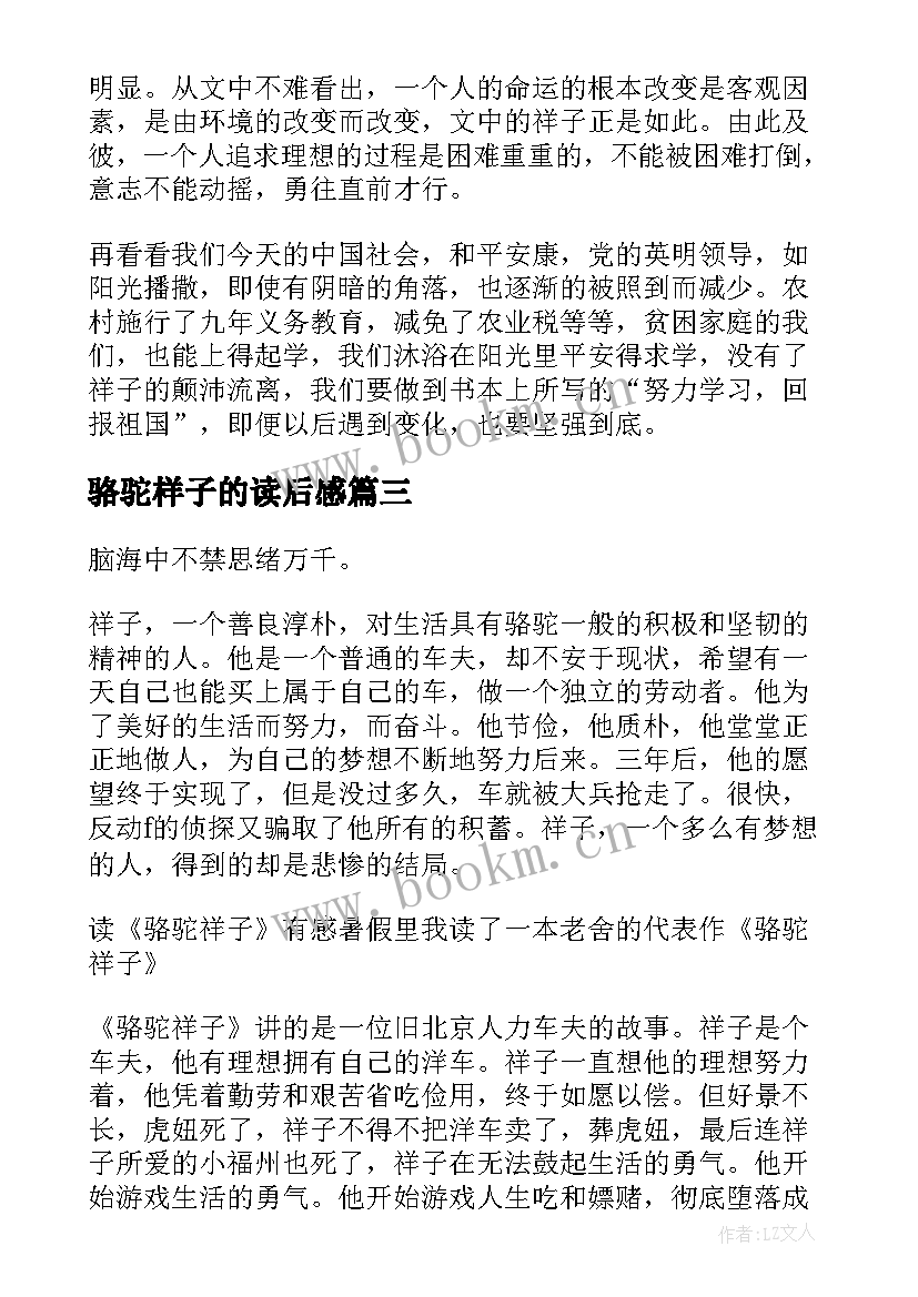 2023年骆驼样子的读后感 骆驼祥子读后感四百字(通用5篇)