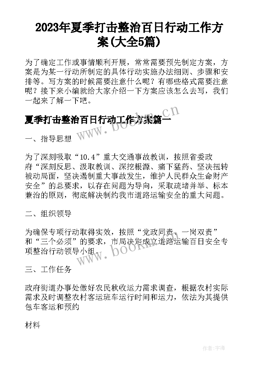 2023年夏季打击整治百日行动工作方案(大全5篇)