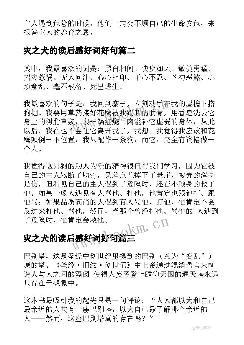 最新灾之犬的读后感好词好句(精选5篇)