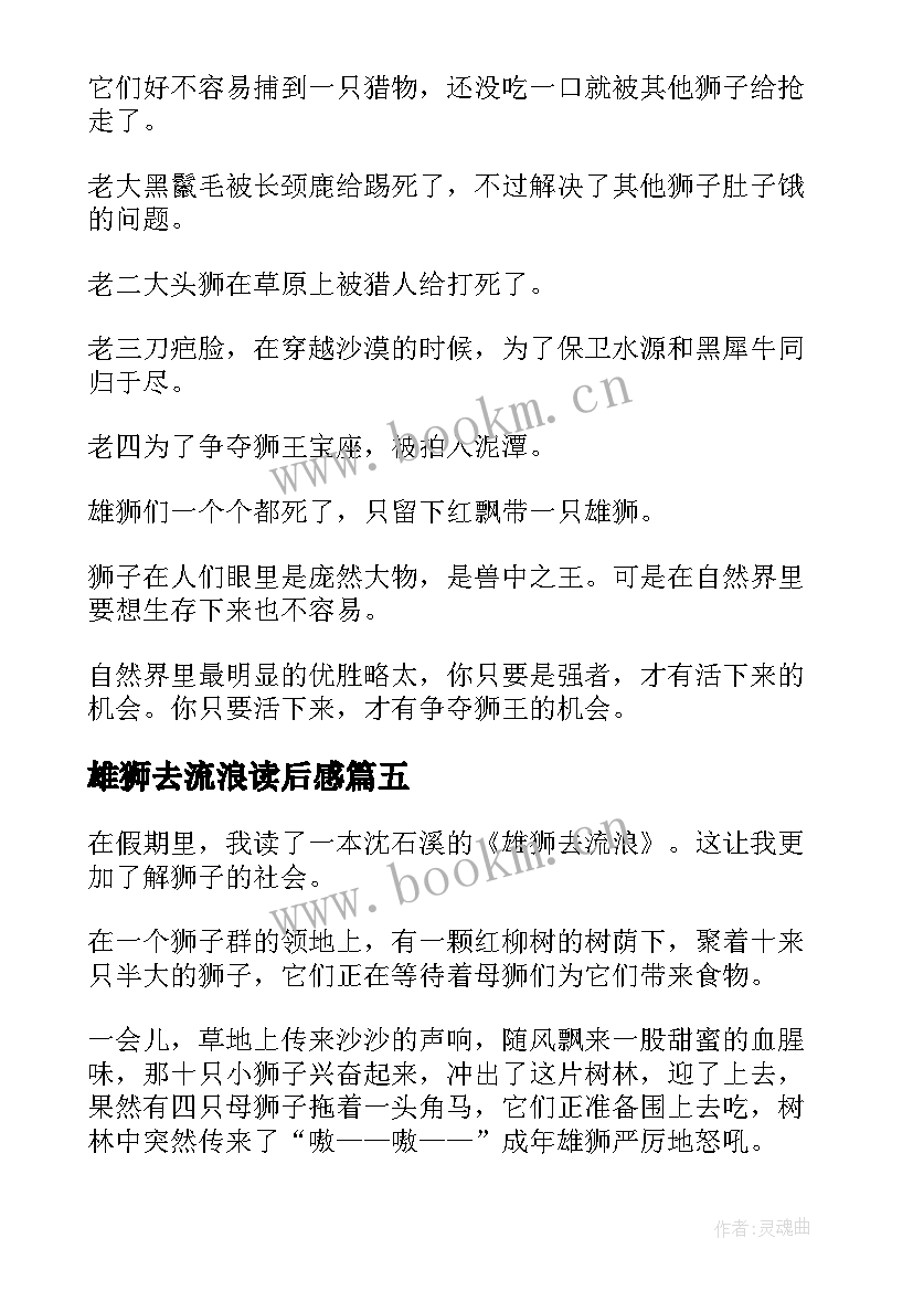 2023年雄狮去流浪读后感(大全10篇)