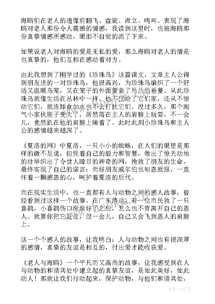 最新老人与海读后感(精选10篇)