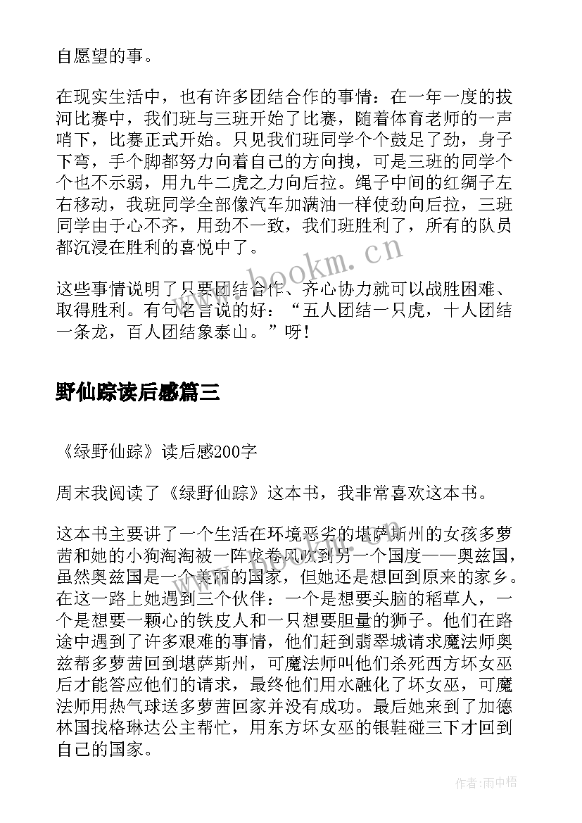 最新野仙踪读后感(优质6篇)