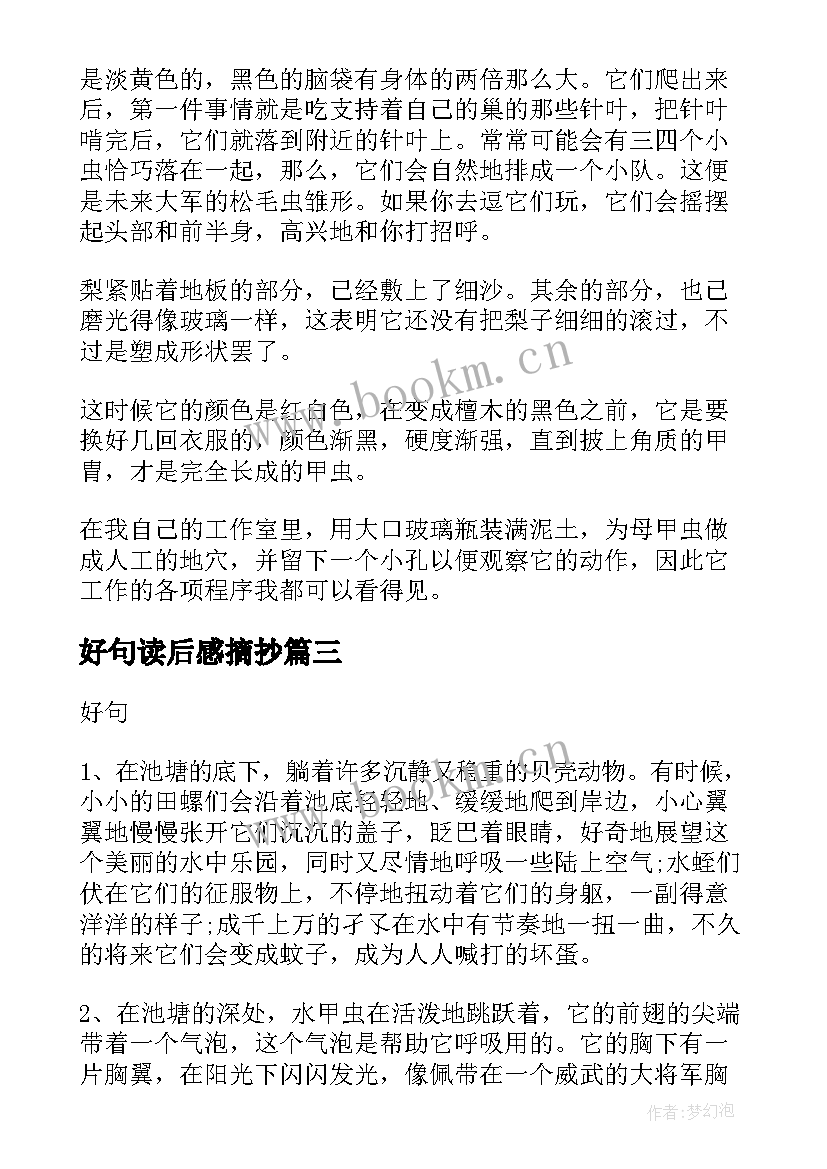 最新好句读后感摘抄 彼得潘好词好句读后感(优秀5篇)